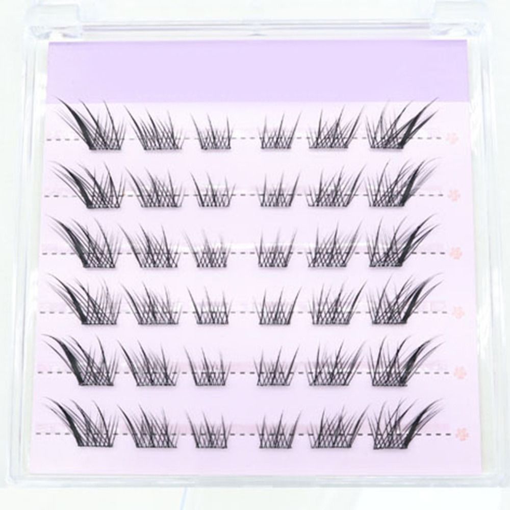 Neue 3D Cat Eye Selbstklebende – Eyelash Extension Cat Eye Wispy Bewertung und Preis